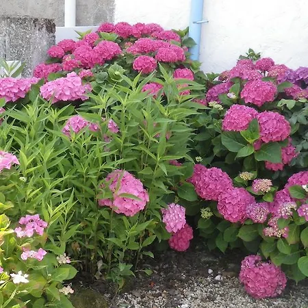 La Musardise Panzió *