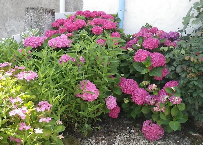 La Musardise Nocleg ze śniadaniem *