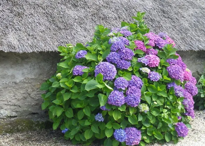 Nocleg ze śniadaniem La Musardise Guérande