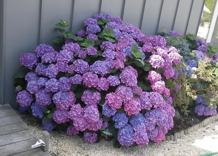 Nocleg ze śniadaniem La Musardise